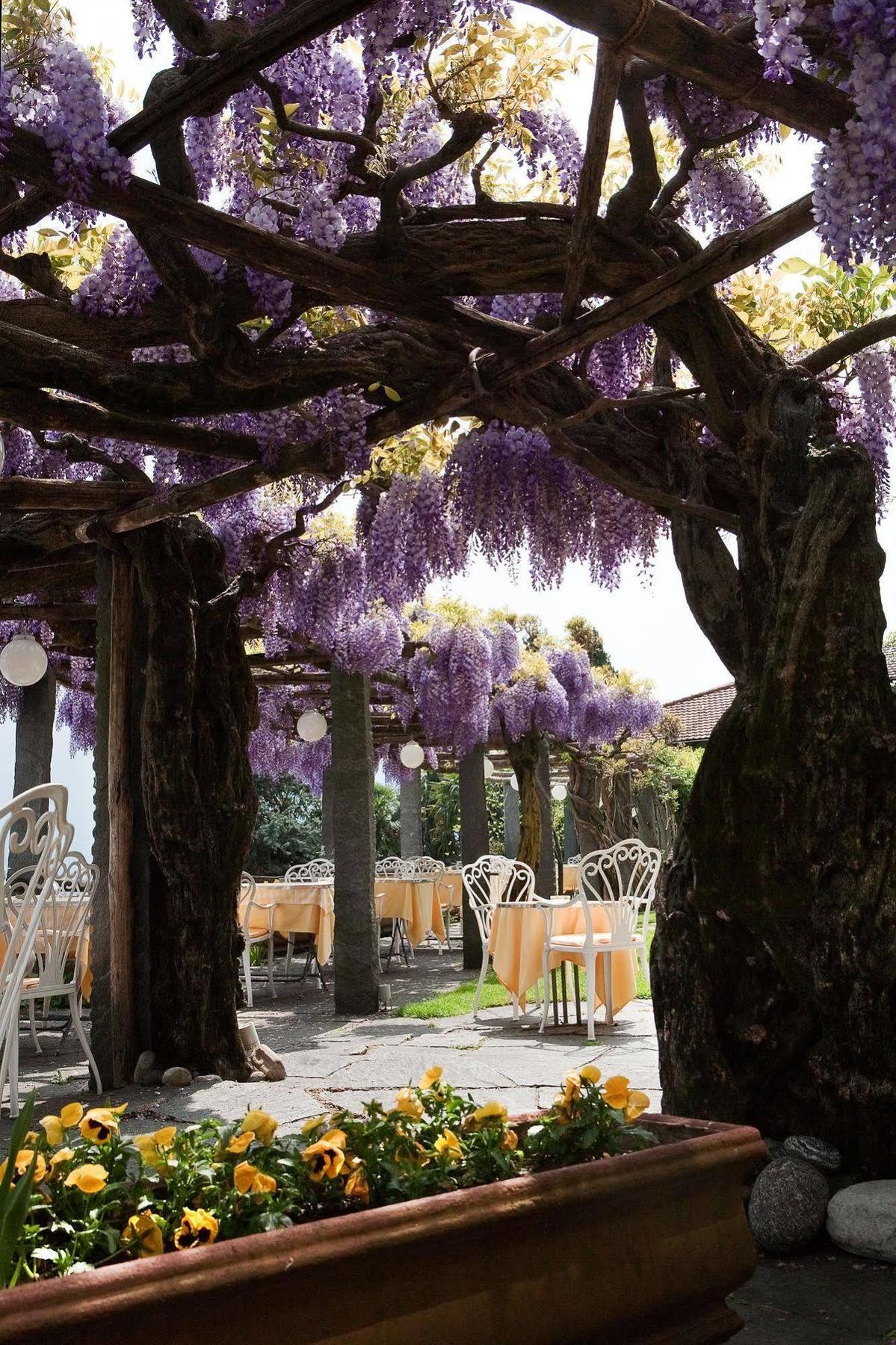 Hotel Ascona Kültér fotó